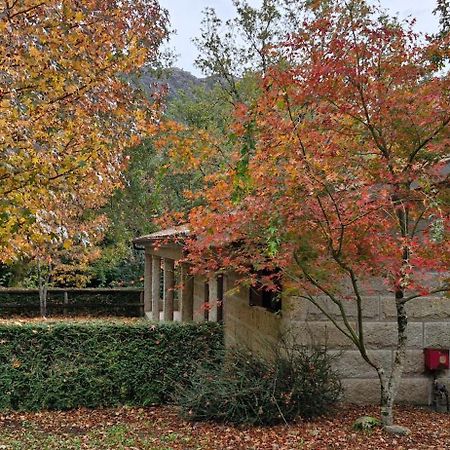 Bungalows - Serra Do Geres 坎普-杜热雷什 外观 照片